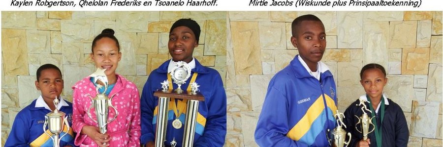 Gansbaai Primer Presteerders Collage deur Monica Hayes_1